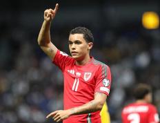 爱游戏体育平台-世预赛：1-0，33岁伯恩茅斯旧将制胜，威尔士登顶+甩比利时6分